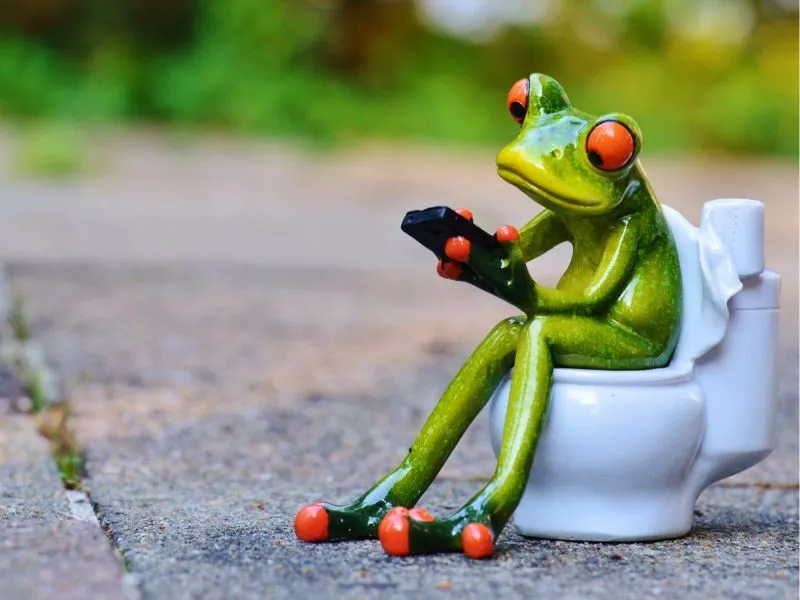 Mơ thấy đi tiểu thì đánh con gì?