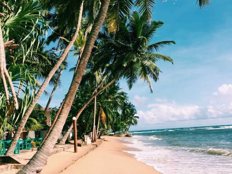 Mơ đi du lịch biển đánh số mấy dễ trúng?